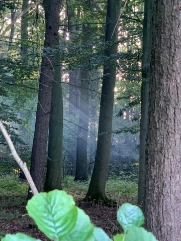 31.08.2019 Väter zelten mit ihren Kindern