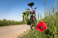 14.09.2021 Kolpingfrauen radeln zum Frühstück